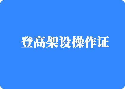 骚笔网址免费登高架设操作证